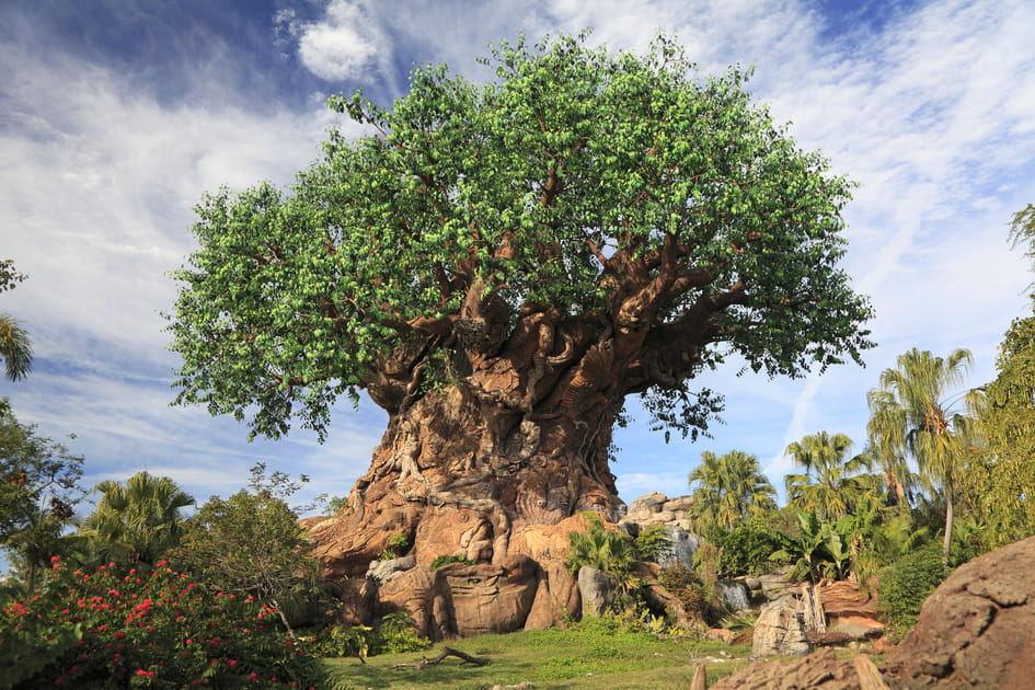 Disney&rsquo;s Animal Kingdom, Orlando,Floride, Etats-Unis