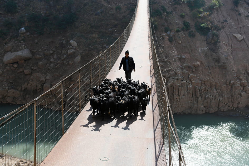 Un pont suspendu