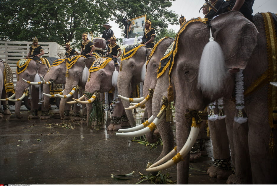 Famille royale de Tha&iuml;lande&nbsp;: 54&nbsp;palais, 38&nbsp;jets priv&eacute;s et une collection d'&eacute;l&eacute;phants blancs...
