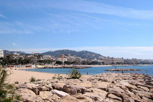 La Croisette à Cannes (Alpes-Maritimes)