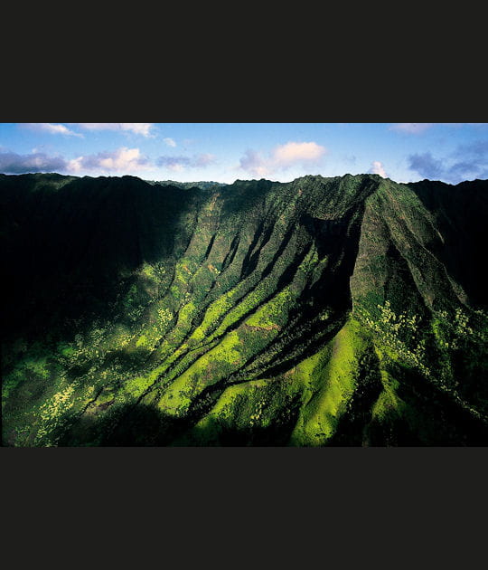 Les &eacute;cor&eacute;gions