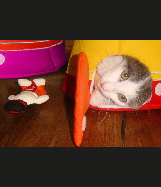 Jeu de cache-cache