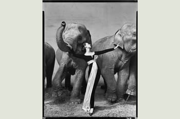 Richard Avedon : photographies 1946 - 2004