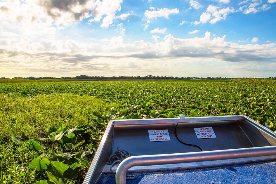 Explorer les Everglades &agrave; bord d'un airboat
