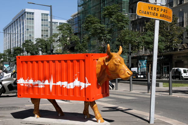 Un container pour une vache