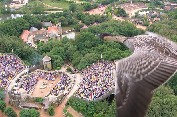 Survol du parc