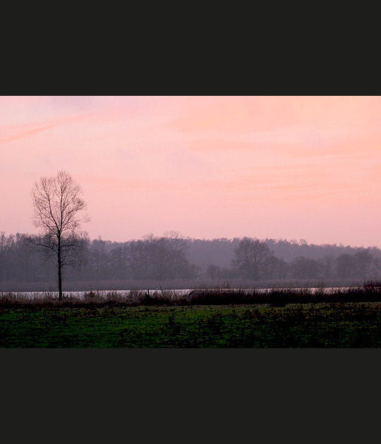 Cr&eacute;puscule entre air et rivi&egrave;re