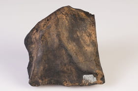 Une m&eacute;t&eacute;orite plus vieille que notre Terre sera bient&ocirc;t visible au public