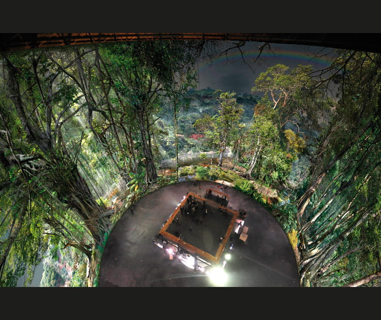 Amazonia, Panorama XXL &agrave; Rouen