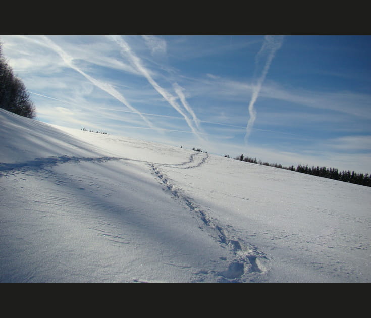 Plans d'Hotonnes (Jura) : 90 euros