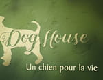 The Dog House