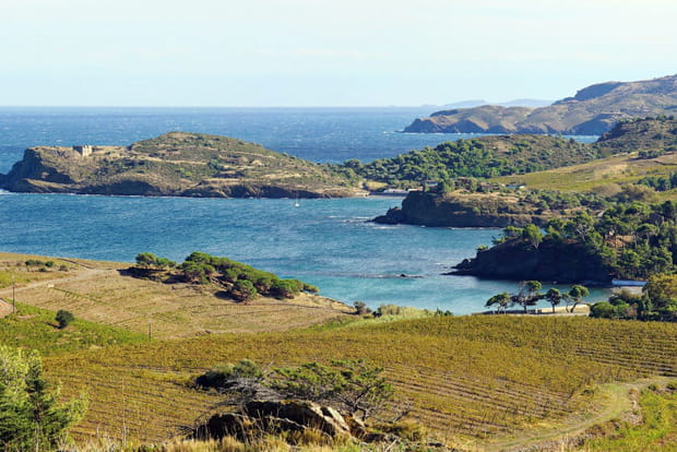 L'anse de Paulilles et ses magnifiques plages