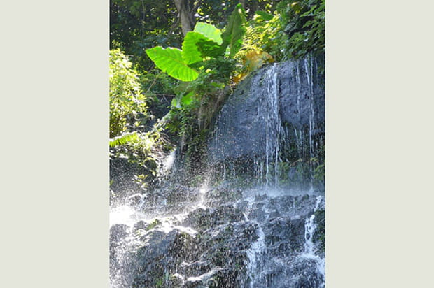 Cascade de Tahiti