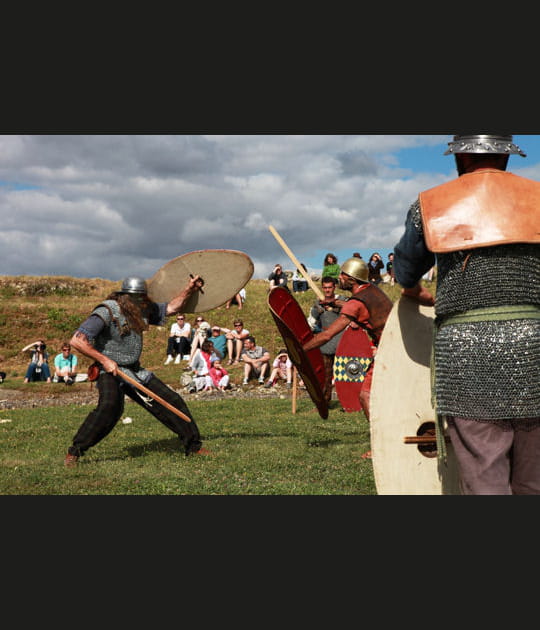 Cottes de mailles et boucliers