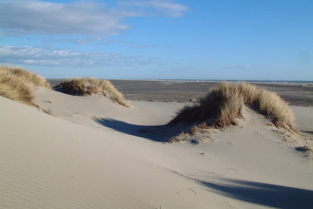La Camargue en hiver