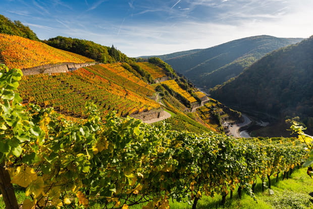 Vallée de l'Ahr, Allemagne