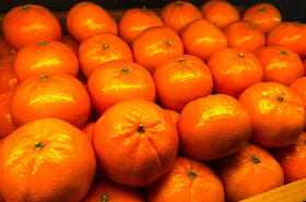 &quot;La couleur n'a rien &agrave; voir&quot;&nbsp;: voici les deux crit&egrave;res &agrave; v&eacute;rifier pour choisir une bonne cl&eacute;mentine