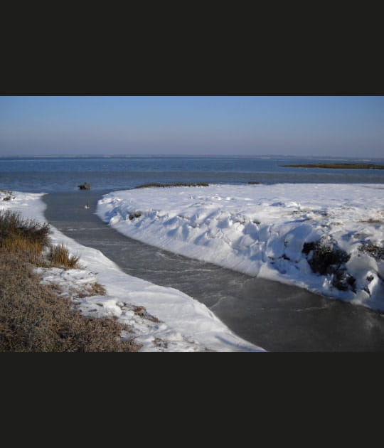 Mer de neige