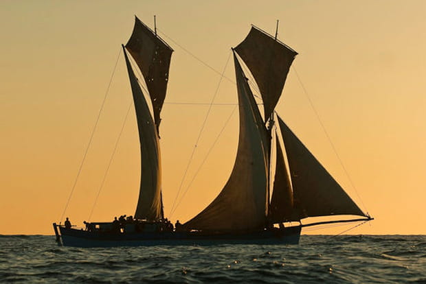 Transport de marchandises