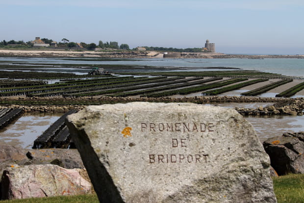 Promenade de Bridport