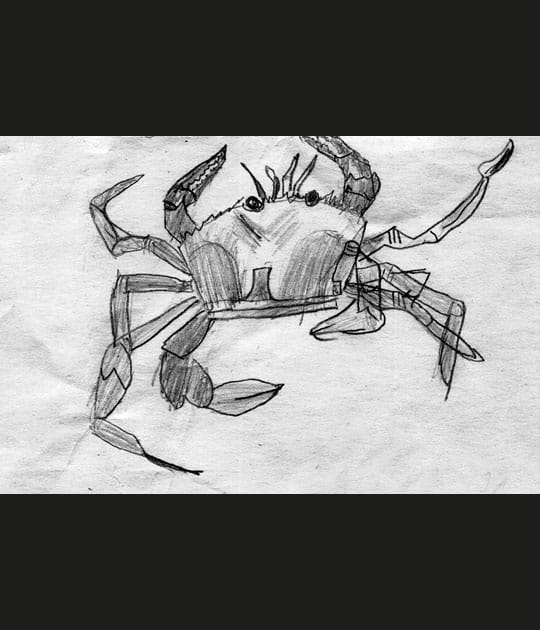 Le crabe