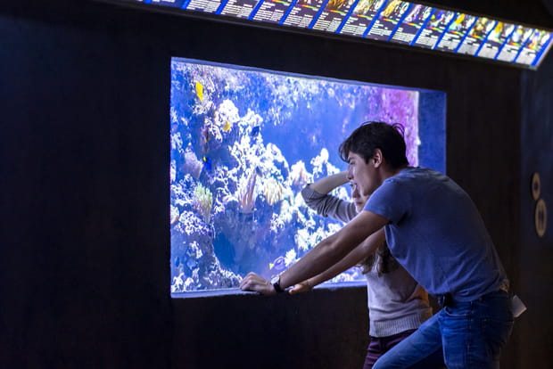 Parcours amoureux à l'Aquarium Tropical du Palais de la Porte Dorée de Paris