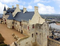 Les châteaux de la Loire : Chinon
