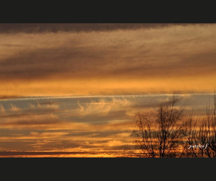 Cr&eacute;puscule dans le marais