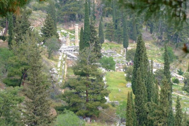 Vue d'ensemble du site