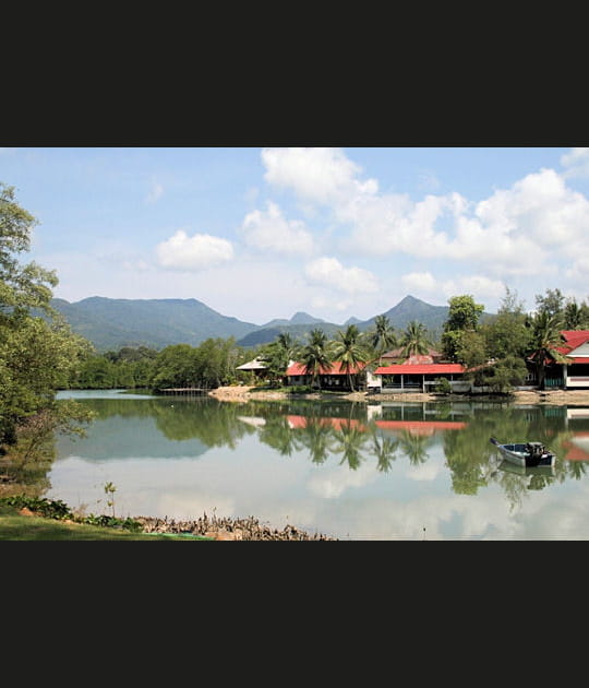 Dans la v&eacute;g&eacute;tation tropicale de Koh Chang