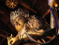 Les esprits des mines d'or au pays de Gengis Khan