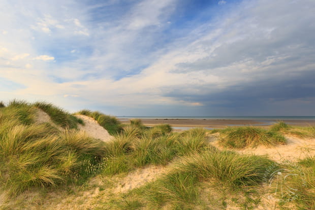 De la Baie des Veys aux plages de la liberté