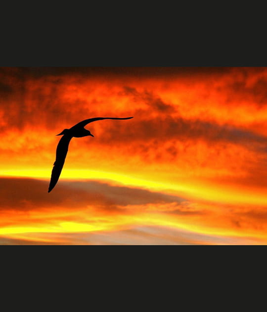 Coucher de soleil