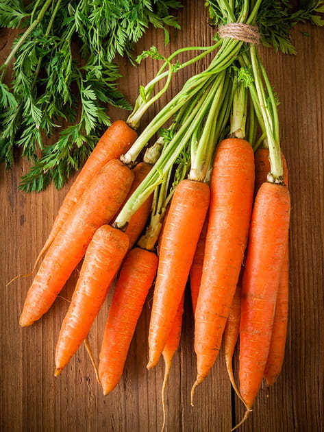 Les carottes
