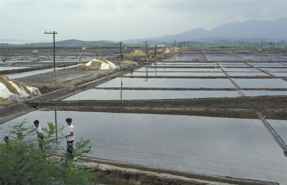 Des marais salants &agrave; Nampho, dans l'ouest