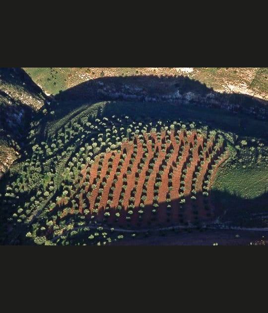 Pr&egrave;s de Jerash