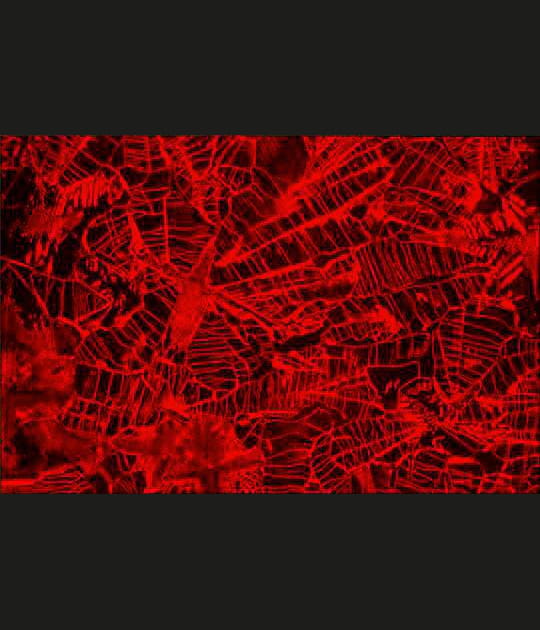 R&eacute;seau de fibres