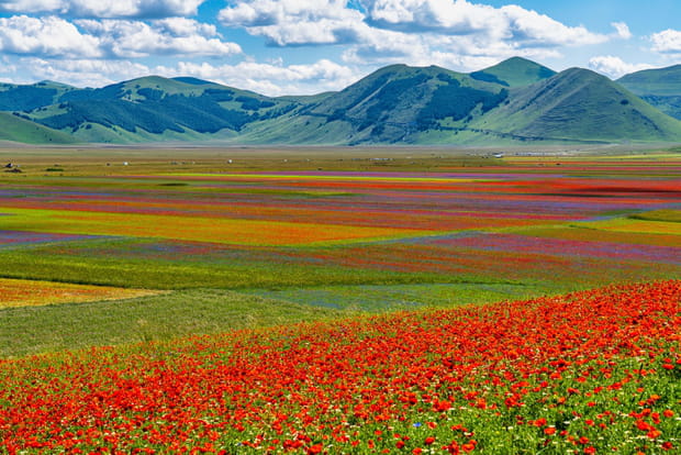 Castelluccio di Norcia, un spectacle de fleurs inoubliable