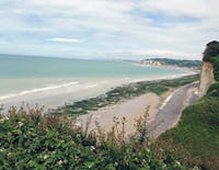 Des racines et des ailes : En Normandie, du Mont-Saint-Michel au pays de Caux