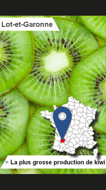 47 - Lot-et-Garonne&nbsp;: le&nbsp;plus de&nbsp;kiwis produits