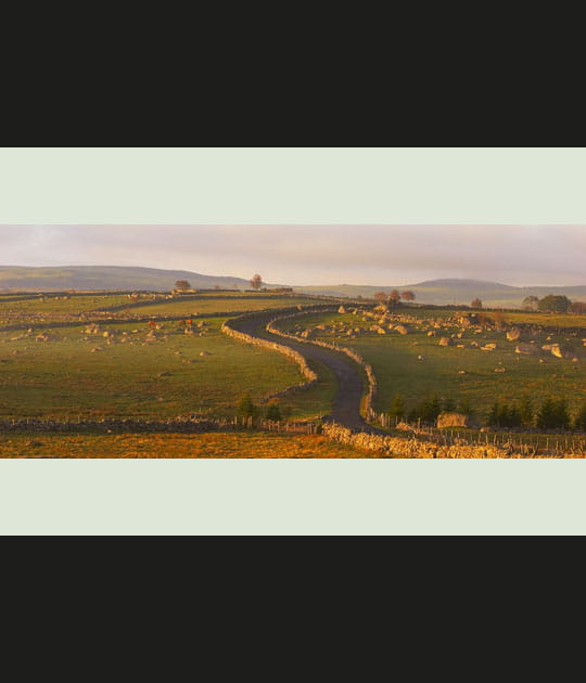 3&egrave;me coup de coeur