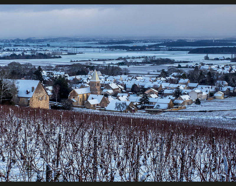 La Bourgogne