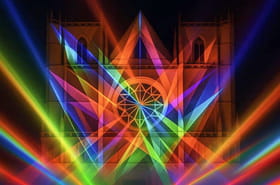 Fête des lumières de Lyon 2025 : le TOP 5 des œuvres à ne pas manquer