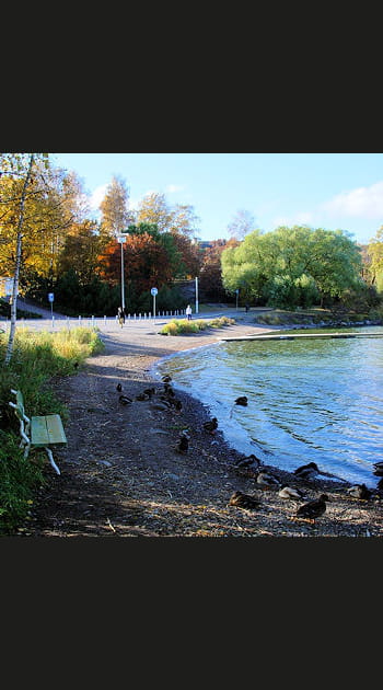 La baie de T&ouml;&ouml;l&ouml;