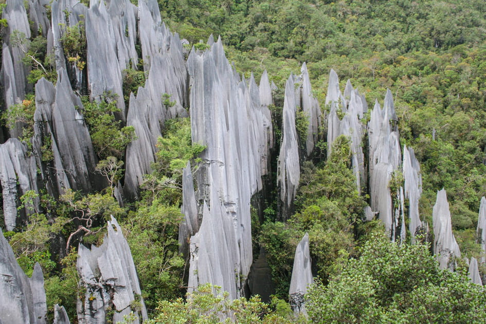 Le Parc National de Gunung Mulu, Malaisie