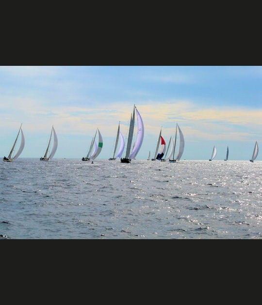 Plusieurs centaines de voiles