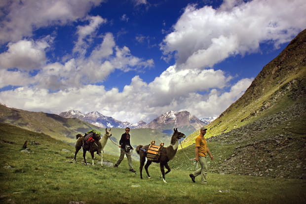 Randonner avec des lamas