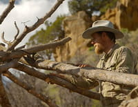 Bushcraft Masters : Abri de fortune