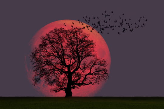 Pleine Lune de Sang : pourquoi cette couleur rouge ce dimanche ?