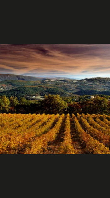 Randonn&eacute;e dans les collines proven&ccedil;ales du Petit Luberon, Var, PACA